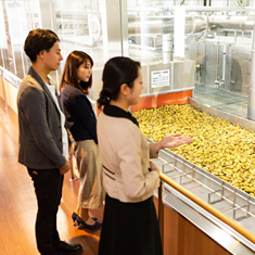 写真:焼酎の工場見学(15分)