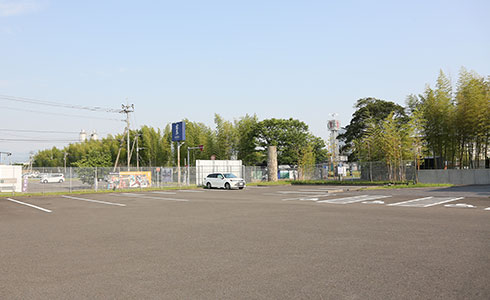 写真:映像を見る(5分)