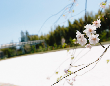 写真: