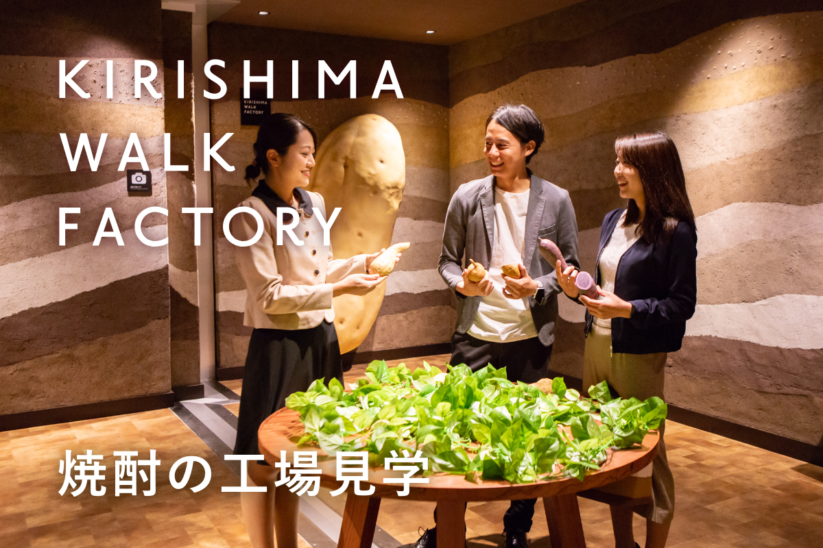 焼酎の工場見学