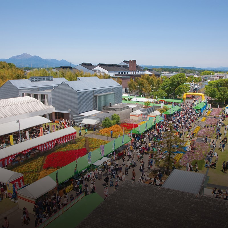 写真：年間行事