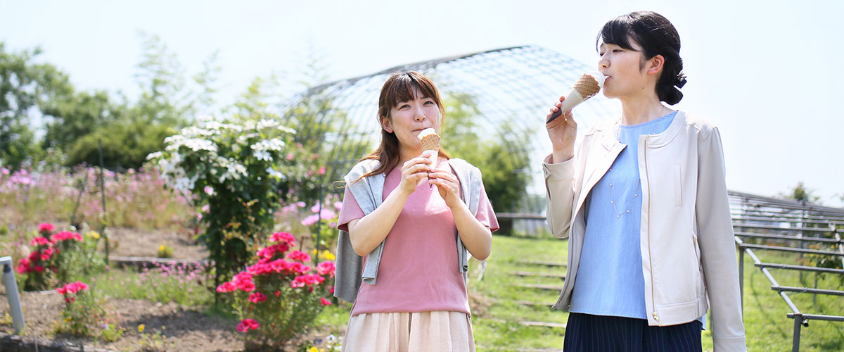 写真:本格芋焼酎「黒霧島」を使用したソフトクリーム。