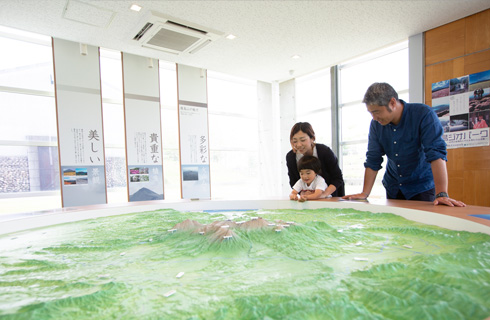 写真：地形ジオラマ