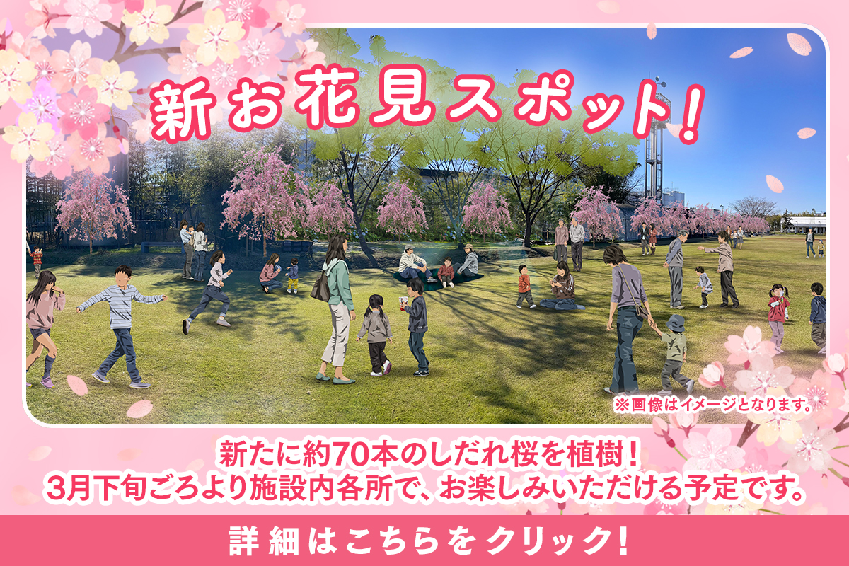 新お花見スポット！