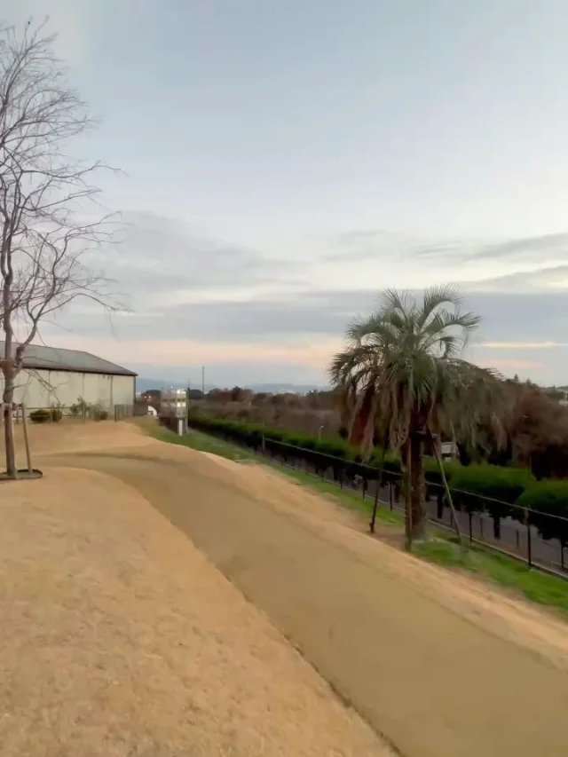 ＼穴場スポット🏔／
行ってみたいと思ったら「いいね！👍」で教えてください♪

「しだれ桜の丘」は時間を気にせずにゆったりとお楽しみいただけます。

お昼時には日が当たり温かく、日向ぼっこやピクニックに最適☀️
レジャーシートをひろげて、霧の蔵ベーカリーの焼酎モロミパンを食べてピクニック気分を味わってみませんか？
ふかふかの芝生で食べるランチはおすすめです🥖

また、夕暮れ時に電車が通ると、写真映え間違いなし📷
ゆっくりとした時間を過ごしながら、近くを通る電車と夕日を撮影すると幻想的で素敵な写真を撮ることができるのでおすすめです！

春になるとしだれ桜が咲き、より綺麗な景色を見ることができます🌸

まだまだ、寒い日が続きますので、ぜひ温かい恰好をしてお立ち寄りください！

#焼酎の里
#霧島ファクトリーガーデン
#黒霧島
#夕焼け
#ピクニック